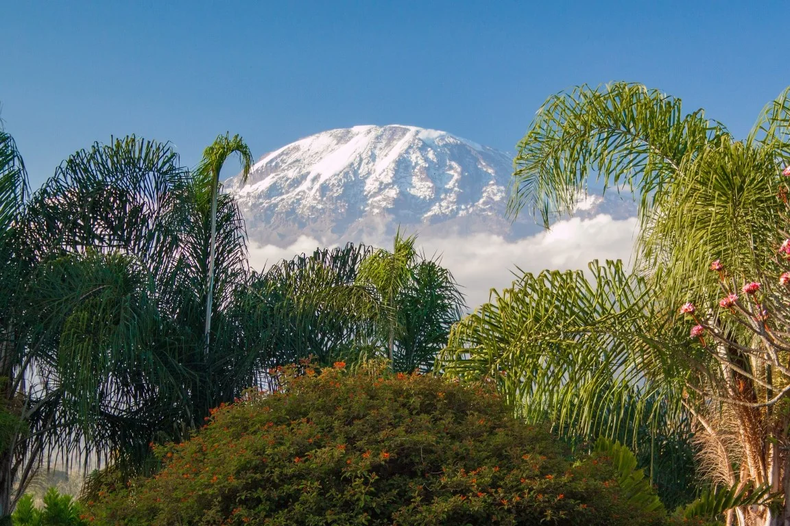 Tanzania: safari parks and Zanzibar · 10 days